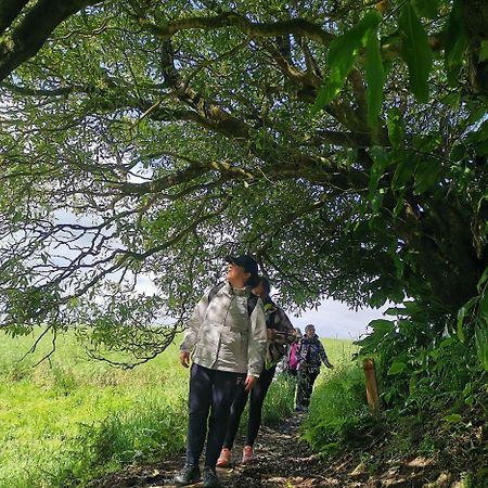 Vila Nikau - Garden By The Sea ลาโกอา ภายนอก รูปภาพ