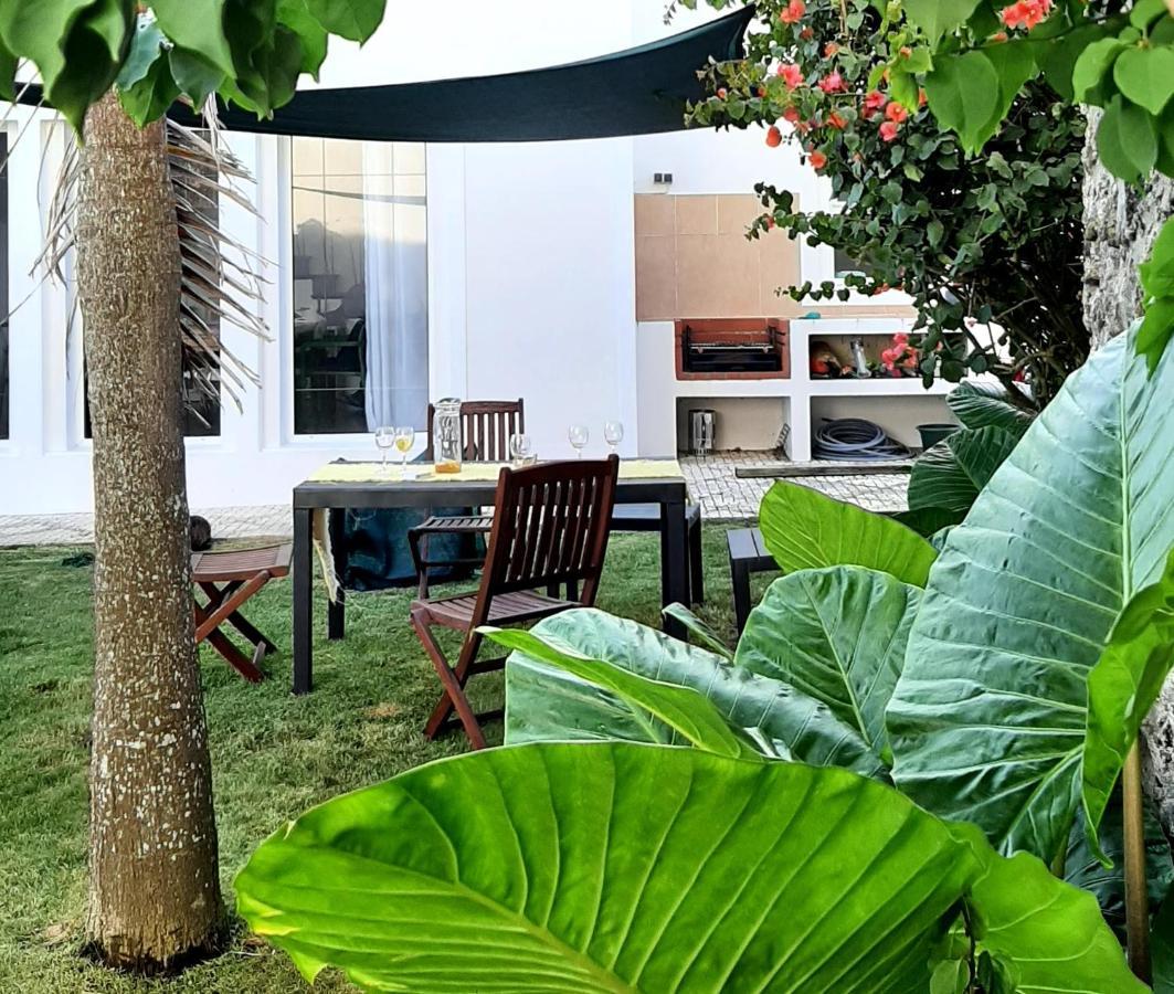 Vila Nikau - Garden By The Sea ลาโกอา ภายนอก รูปภาพ