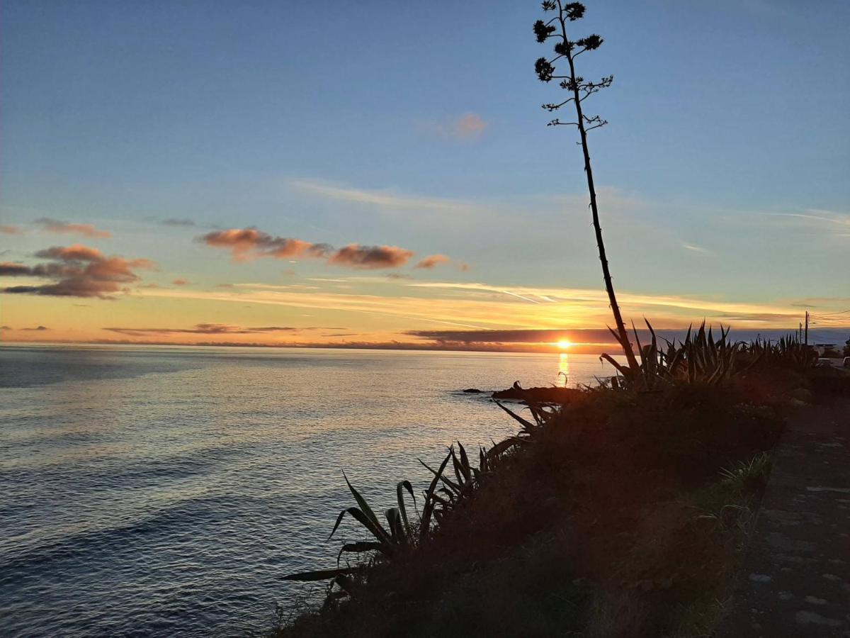 Vila Nikau - Garden By The Sea ลาโกอา ภายนอก รูปภาพ