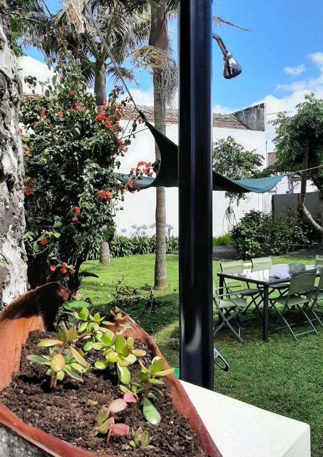 Vila Nikau - Garden By The Sea ลาโกอา ภายนอก รูปภาพ