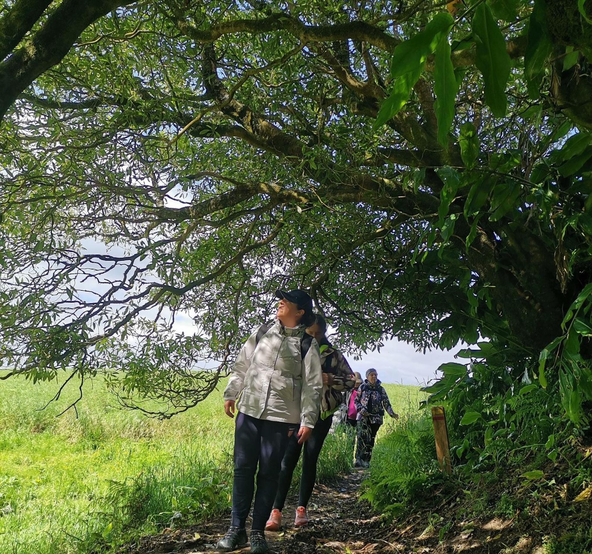 Vila Nikau - Garden By The Sea ลาโกอา ภายนอก รูปภาพ